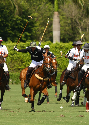 cvwhitneycuppolophotosalexpachecopoloclubpolomagazine 1