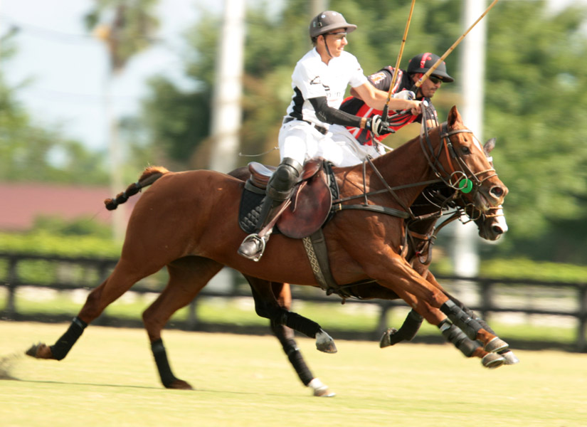 us-trust-cup-final-grand-champions-photo-credit-alex-pacheco 8 polomagazine.jpg