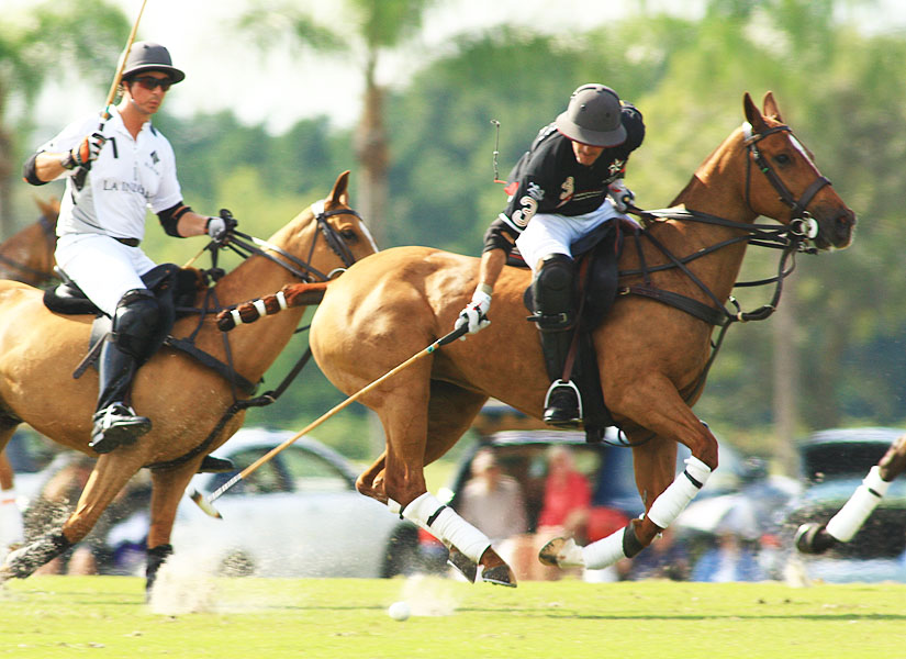 enigma-12-la-indiana-9 4 polomagazine.jpg