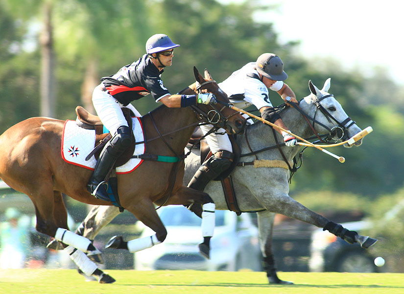 enigma-12-la-indiana-9 8 polomagazine.jpg