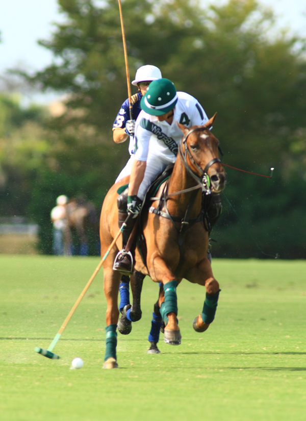 gold-cup-photos-lucchese-vs-white-biech 4 polomagazine.jpg