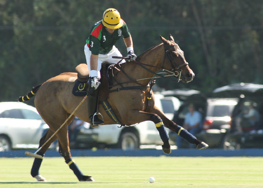 photos-from-today-s-20-goal-matchj-between-la-herradura-and-goose-creek 5 polomagazine.jpg