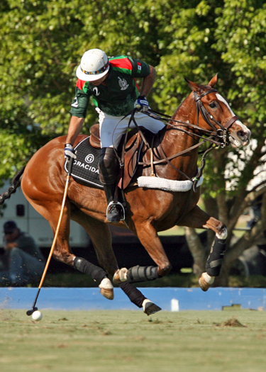 photos-from-today-s-20-goal-matchj-between-la-herradura-and-goose-creek 6 polomagazine.jpg
