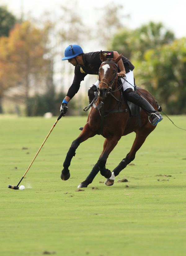 photos-from-today-s-wanderers-classic-match 7 polomagazine.jpg