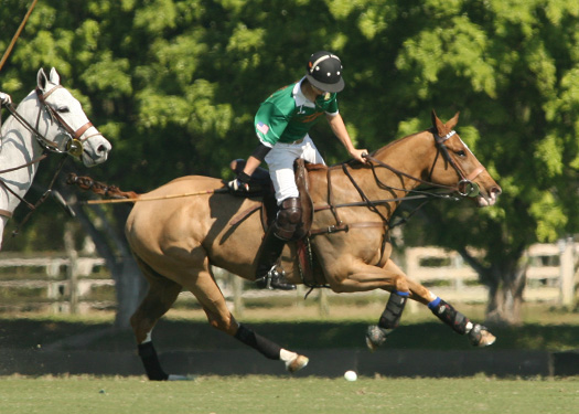 photos-from-wanderers-classic-finals 3 polomagazine.jpg