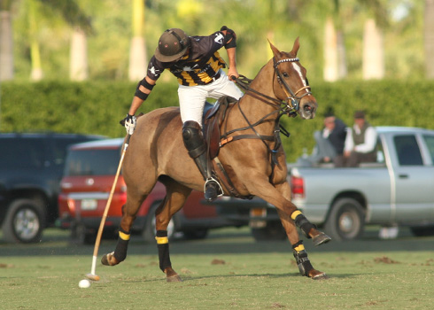 photos-lechuza-vs-faraway-ylvisaker-cup 7 polomagazine.jpg