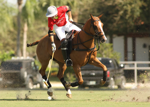 photos-lucchese-vs-audi-2-1-13 1 polomagazine.jpg
