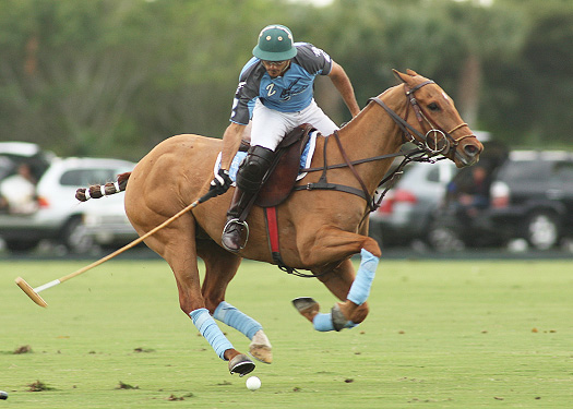 photos-of-zacara-vs-goose-creek-1-31-13 2 polomagazine.jpg