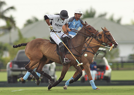 photos-of-zacara-vs-goose-creek-1-31-13 8 polomagazine.jpg