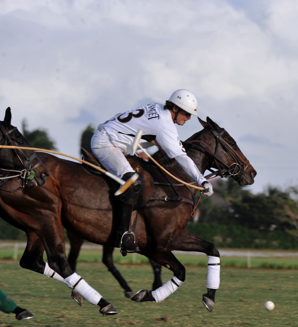 polo 1000x1097.3084886128 audi-wins-the-finals 1 polomagazine.jpg