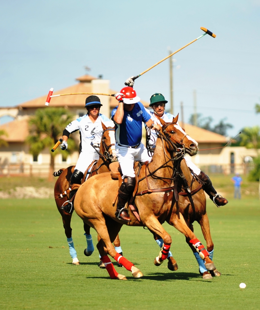 polo 1000x1191.1764705882 coca-cola-vs-alegria 4 polomagazine.jpg
