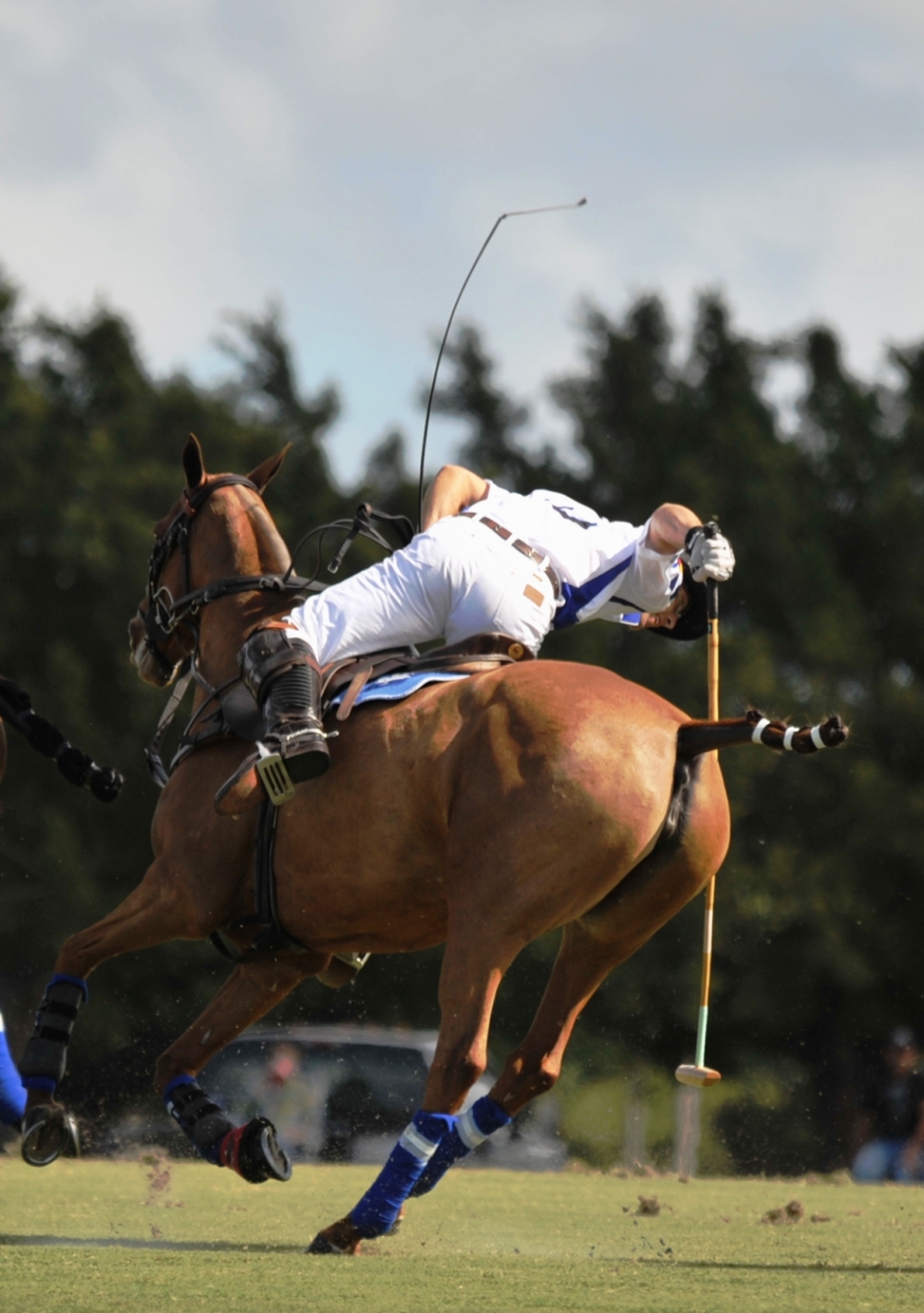 polo 1000x1419.7628458498 heathcote-vs-audi-joe-barry-cup-2012 5 polomagazine.jpg