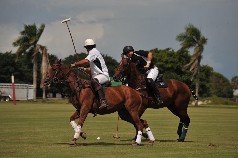 polo 1000x665.62009419152 piaget-vs-flat-out-grand-champion-polo 2 polomagazine.jpg
