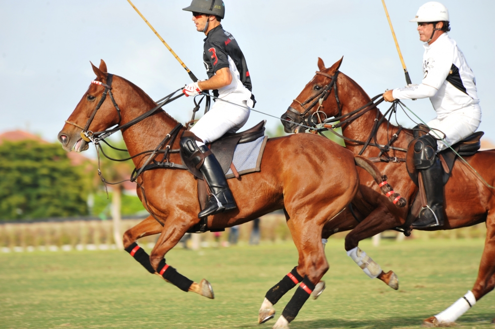 polo 1000x665.82914572864 audi-wins-the-finals 2 polomagazine.jpg