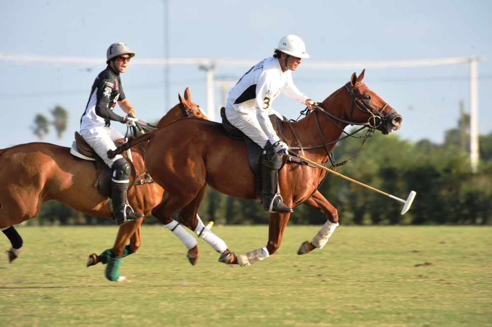 polo 1000x665.82914572864 audi-wins-the-finals 4 polomagazine.jpg