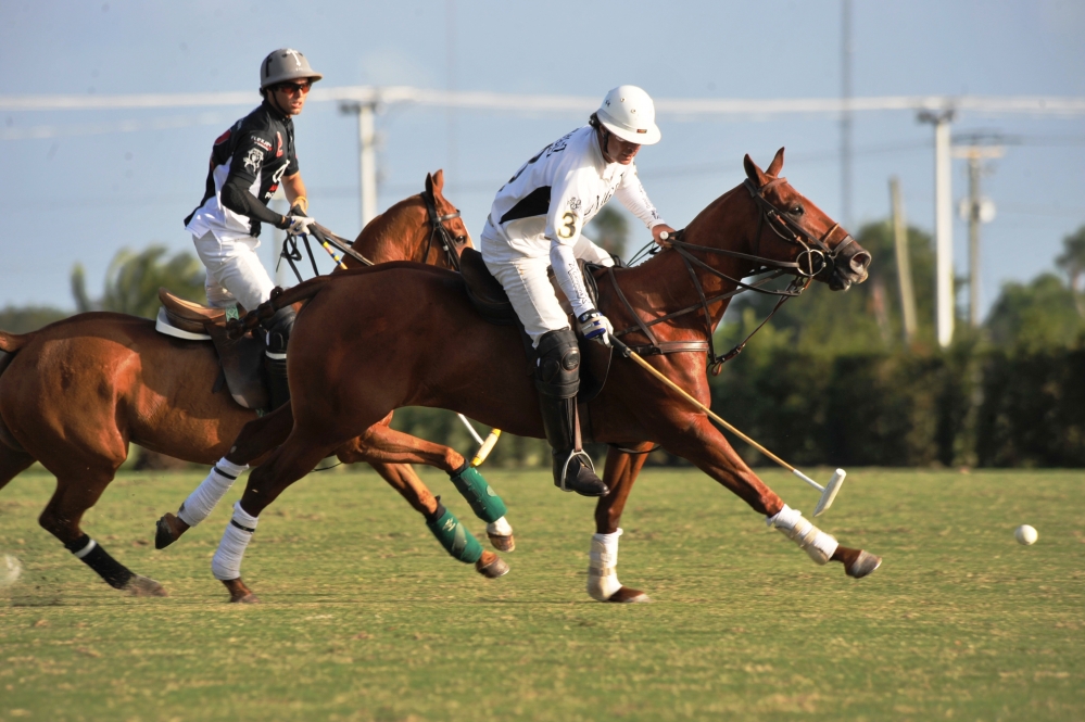 polo 1000x665.82914572864 audi-wins-the-finals 5 polomagazine.jpg