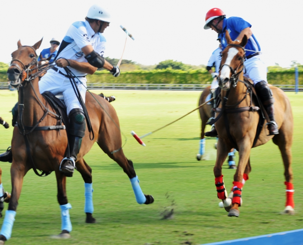 polo 1000x810.01589825119 goose-creek-vs-jan-pamela 3 polomagazine.jpg