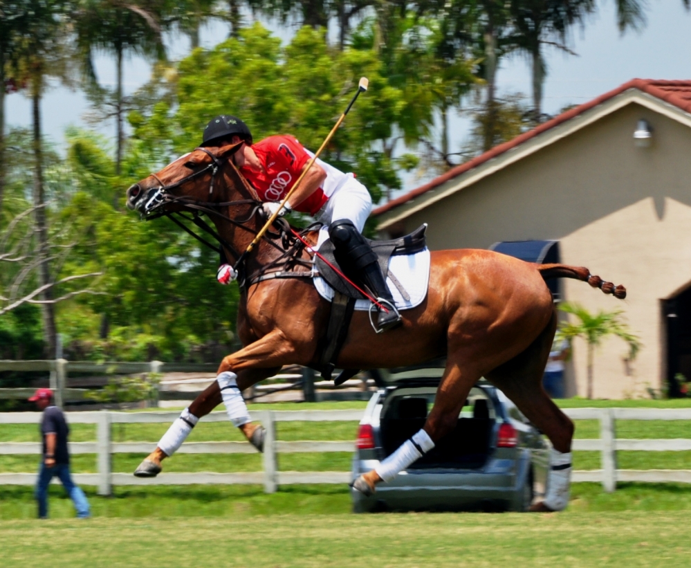 polo 1000x821.85430463576 grand-champipn-spring-classic2012-ruby-q-9-vs-endeavor-audi-8-2 2 polomagazine.jpg