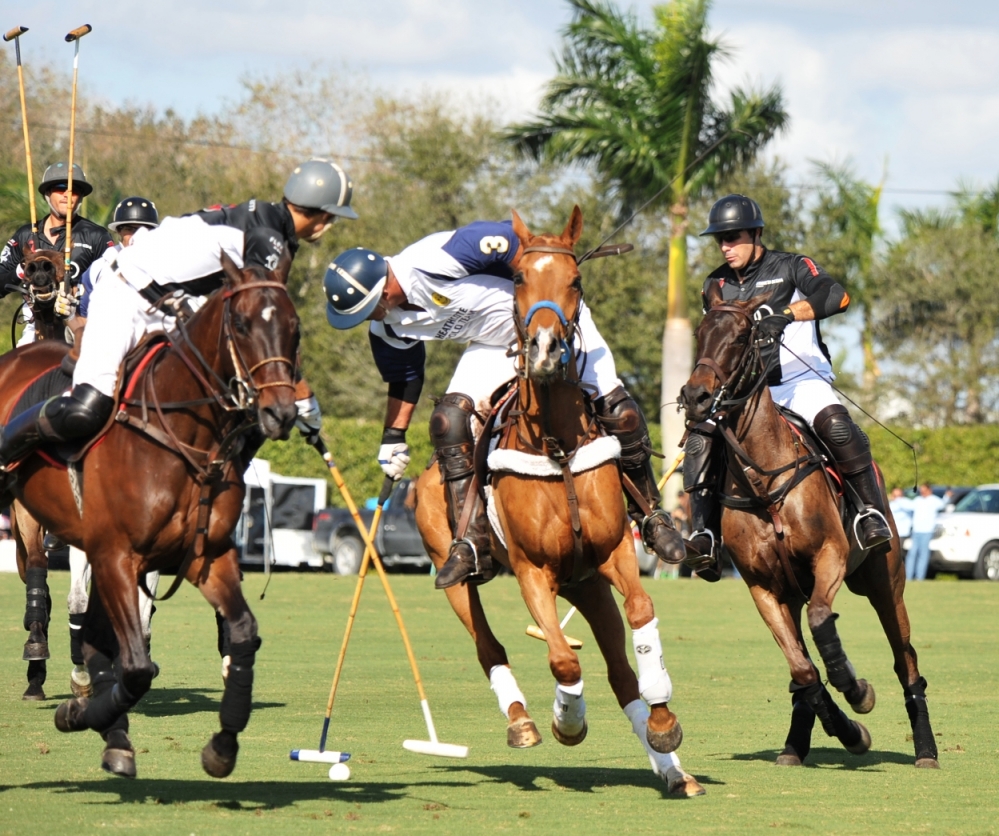 polo 1000x836.66933546837 heathcote-vs-audi-joe-barry-cup-2012 2 polomagazine.jpg