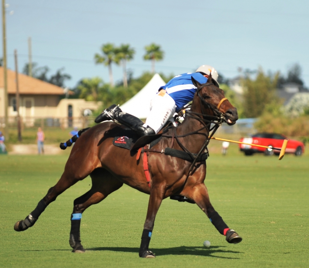 polo 1000x869.78785662034 coca-cola-vs-alegria 3 polomagazine.jpg