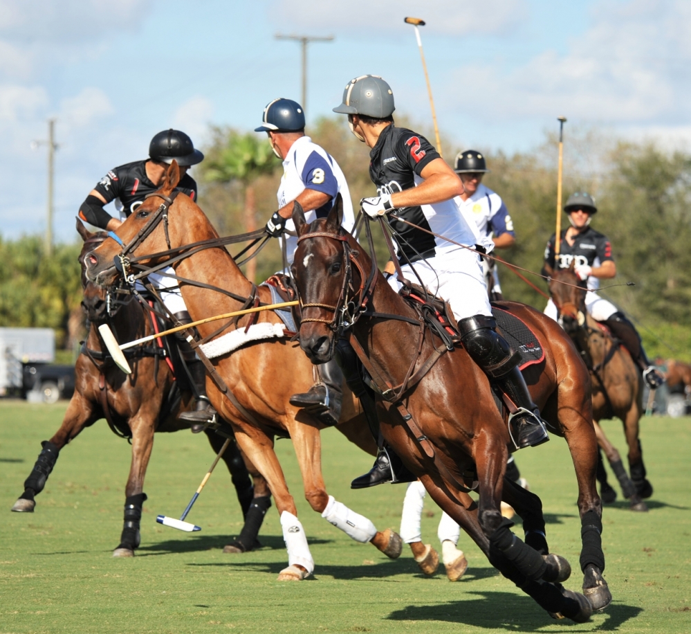 polo 1000x916.66666666667 heathcote-vs-audi-joe-barry-cup-2012 3 polomagazine.jpg