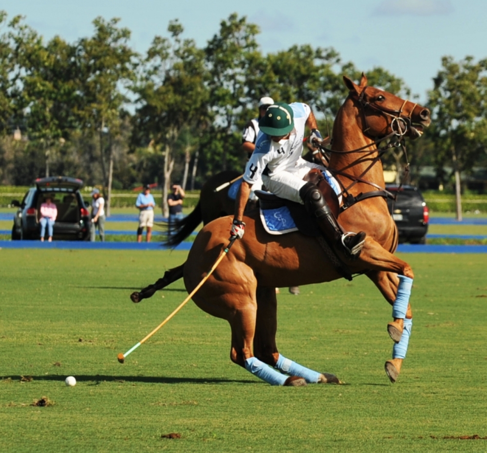polo 1000x929.35635792779 coca-cola-vs-alegria 2 polomagazine.jpg