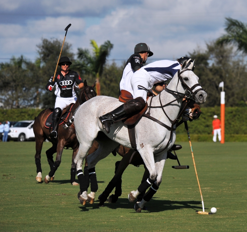 polo 1000x939.56486704271 heathcote-vs-audi-joe-barry-cup-2012 4 polomagazine.jpg