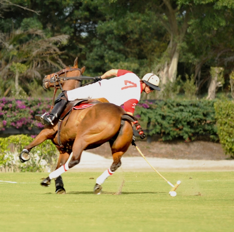 polo 1000x988.88006354249 coca-cola-vs-circa 1 polomagazine.jpg