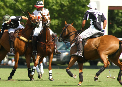 c-v-whitney-cup-photos 6 polomagazine.jpg