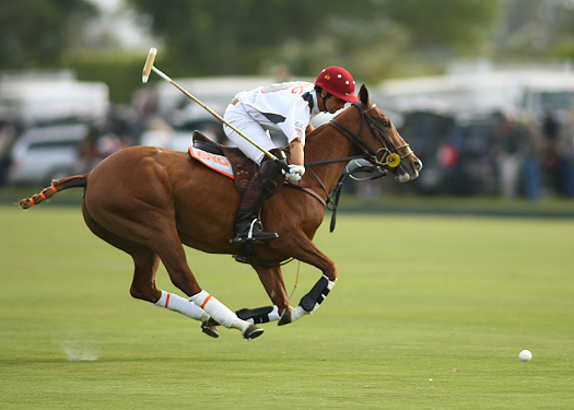 erg-vs-orchard-hill-gold-cup-photos 3 polomagazine.jpg