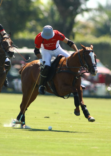 gold-cup-photos-audi-vs-zorzal 4 polomagazine.jpg