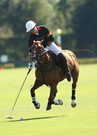 gold-cup-photos-audi-vs-zorzal 7 polomagazine.jpg