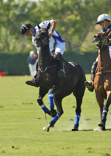 gold-cup-photos-valiente-vs-mt-brilliant 2 polomagazine.jpg