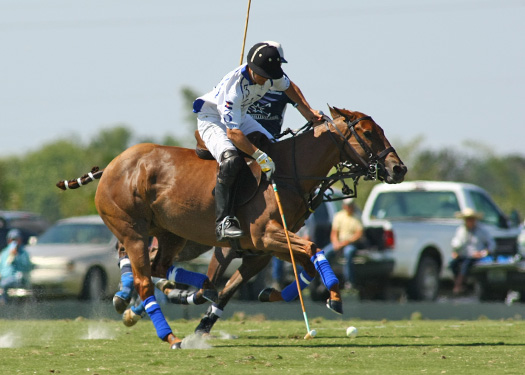 gold-cup-photos-valiente-vs-mt-brilliant 4 polomagazine.jpg