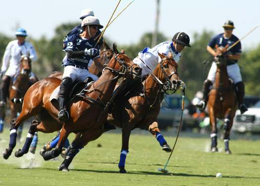 gold-cup-photos-valiente-vs-mt-brilliant 7 polomagazine.jpg