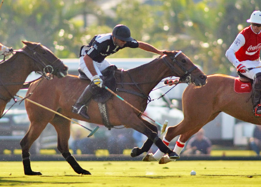 gold-cup-photos-zacara-vs-coca-cola 4 polomagazine.jpg