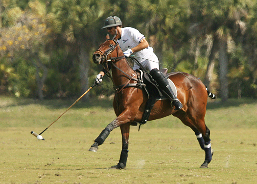photos-alegria-vs-mt-brilliant 1 polomagazine.jpg