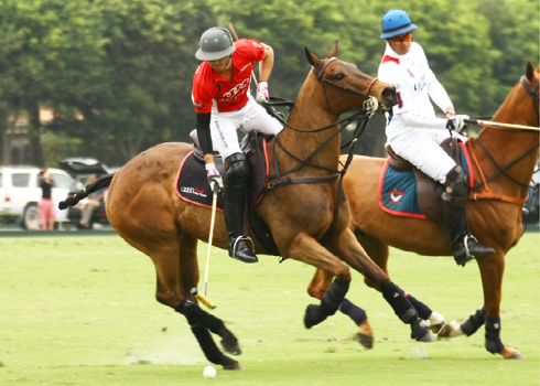 photos-audi-vs-lechuza 7 polomagazine.jpg