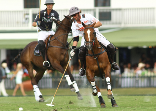 photos-erg-vs-piaget 7 polomagazine.jpg