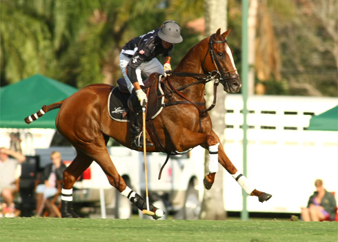 photos-faraway-vs-lucchese 5 polomagazine.jpg