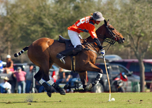 photos-from-thursday-s-ylvisaker-cup-games 2 polomagazine.jpg