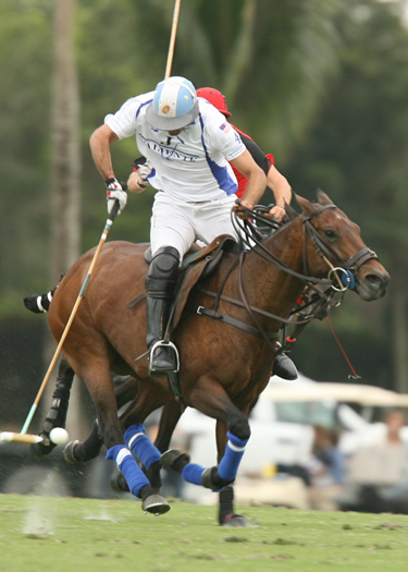 photos-from-uspa-piaget-gold-cup-semifinals-valiente-vs-alegria 6 polomagazine.jpg