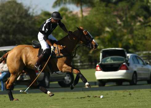 photos-from-zacara-vs-crab-orchard 6 polomagazine.jpg