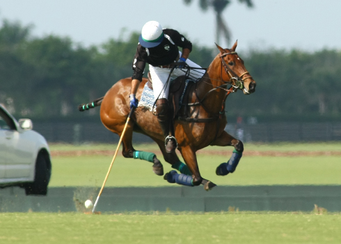 photos-haas-cup-finals 2 polomagazine.jpg