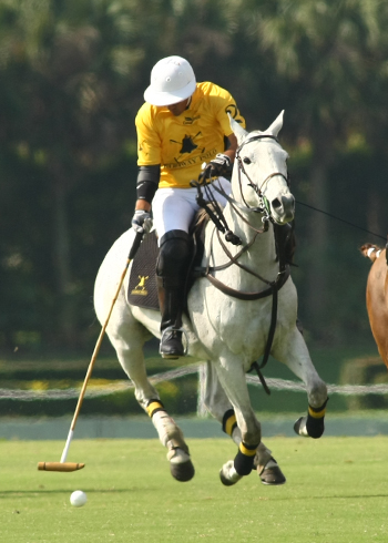 photos-haas-cup-finals 5 polomagazine.jpg
