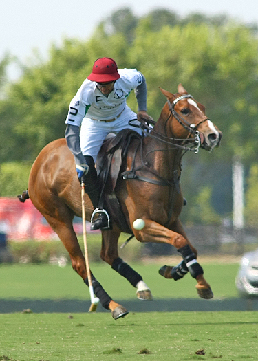 photos-iglehart-cup-finals 1 polomagazine.jpg