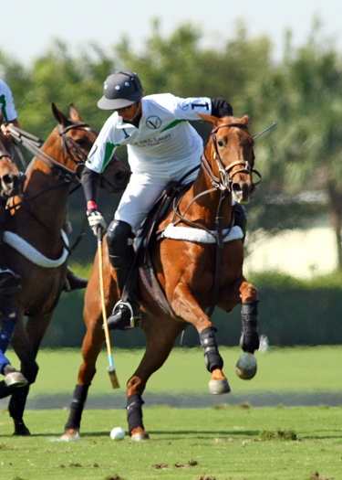 photos-iglehart-cup-finals 3 polomagazine.jpg