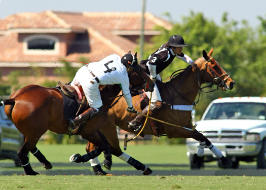 photos-iglehart-cup-finals 4 polomagazine.jpg