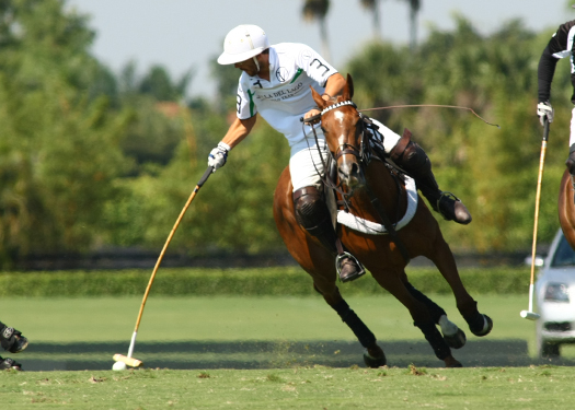 photos-iglehart-cup-finals 6 polomagazine.jpg