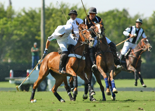 photos-iglehart-cup-finals 7 polomagazine.jpg